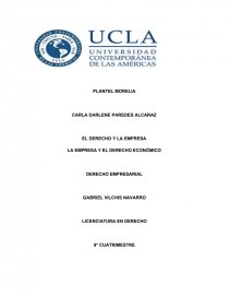 EL DERECHO Y LA EMPRESA CONCEPTO DE EMPRESA. Página 1