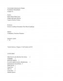 Proyecto didáctico para niños, enfocado a reforzar sus derechos humanos