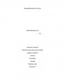 Países del mundo función informativa