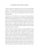 EL CAMINO DE LA EDUCACIÓN EN GUATEMALA