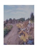 IDENTIFICACION Y ANALISIS DE ASPECTOS AMBIENTALES E IMPACTOS EN LA EMPRESA DE CATERING S.A.C