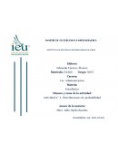 EJERCICIOS ACTIVIDAD DE APRENDIZAJE N° 4