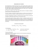 INDICADOR DE PH CASERO