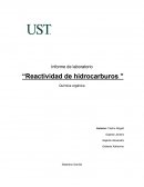 Reactividad de Hidrocarburos
