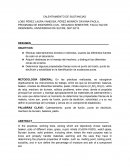 Calentamiento de sustancias.