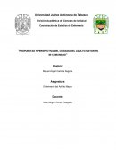 Propuestas y perspectiva del cuidado del adulto mayor en mi comunidad