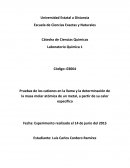 Cátedra de Ciencias Químicas