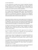 La cultura Organizacional. es el conjunto de creencias ...