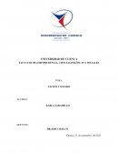 El significado de la nación