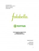 Estrategia Competitiva TOTTUS (Falabella)