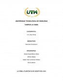CASO: Carniceria El Buen Amigo
