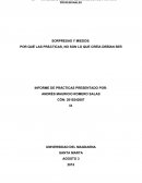 POR QUÉ LAS PRÁCTICAS, NO SON LO QUE CREÍA DEBÍAN SER