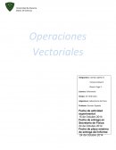 Fisica Operaciones Vectoriales