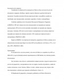 La industria de la mensajería en México