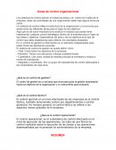 Áreas de control organizacional