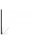 HABITOS DE LA COMPRA