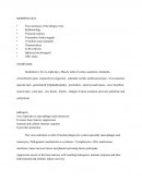 MORFOLOGÍA DEL VIRUS DEL DENGUE (INGLÉS)