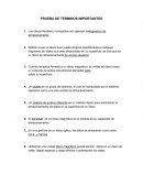 PRUEBA DE TERMINOS IMPORTANTES