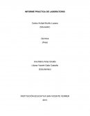 INFORME PRACTICA DE LABORATORIO