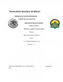 Mapa conceptual - Modelos de negocio economía digital