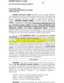 Demanda de acción proforma