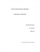 Que el estudiante aprenda e identifique las diferentes formas de vida del ser humano así como su historia