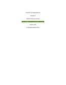 Variables de Segmentación Semana 4