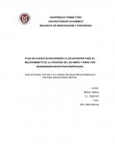 PLAN DE CAPACITACION DIRIGIDO A LOS DOCENTES PARA EL MEJORAMIENTO DE LA ATENCION DE LOS NIÑOS Y NIÑAS CON NECESIDADES EDUCATIVAS ESPECIALES