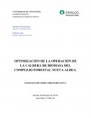 Tesis caldera de biomasa