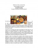 Reflexión de Video La Abuela Grillo