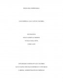 Psicologia empresarial.El caso