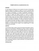 FERMENTACIÓN EN LA ELABORACIÓN DEL PAN