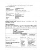 PLAN DE DESARROLLO CURRICULAR DE AULA (PRIMER TALLER)