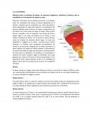 LA LITOSFERA. La corteza terrestre oceánica