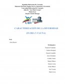 Todos los seres vivientes sobre la tierra son parte de un gran sistema interdependiente