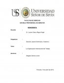 La Organización Internacional del Trabajo y bloque de trabajo