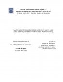 ARACTERIZACIÓN DEL PROCESO DE OBTENCIÓN DEL VINAGRE (ÁCIDO ACÉTICO)
