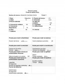 Prueba para medir la fuerza en extremidades inferiores