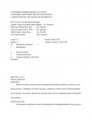 Cuales son los pasos necesarios para la preparación de probetas metálicas a observar es este tipo de ensayes