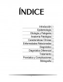 Hemocromatosis Para entender correctamente esta patología es importante mencionar la malabsorción.
