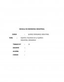 Concentrador descendente para zumos de frutas y agrios, y a circulación forzada para mosto de uva.