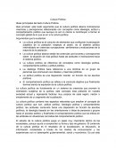 Ideas principales del la Cultura Política.