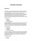 Actividad - La Glucólisis