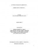 Trabajo colaborativo - Observación y entrevista