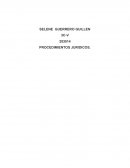 Lal ley de herodes PROCEDIMIENTOS JURIDICOS.