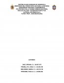 OBSERVACIONES COSEIMPA C.A