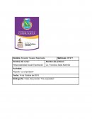 Responsabilidad Social Empresarial - La corporacion