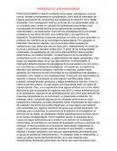 LA GRAN PRIORIDAD DE LOS PARADIGMAS