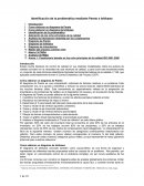 Identificación de la problemática mediante Pareto e Ishikawa