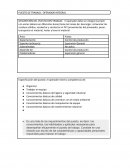 PUESTO DE TRABAJO: OPERADOR INTEGRAL